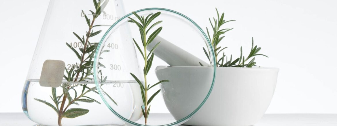 Razvoj kozmetičnih izdelkov: Od ideje do končnega izdelka