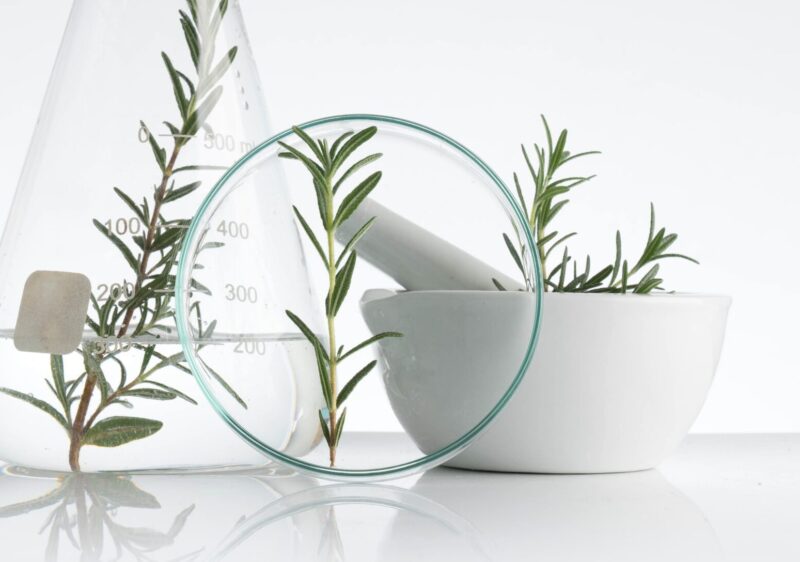 Razvoj kozmetičnih izdelkov: Od ideje do končnega izdelka